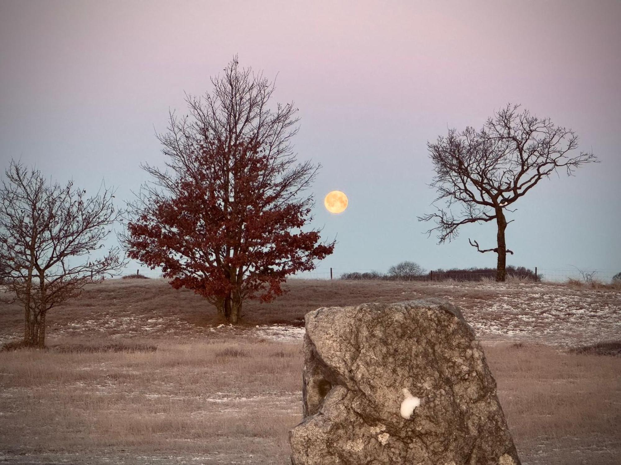 Stuga Bra Nock Brösarp Exteriér fotografie